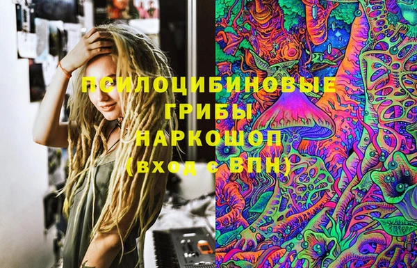 хмурый Гатчина