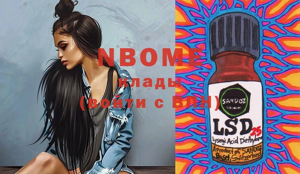 ГАЛЛЮЦИНОГЕННЫЕ ГРИБЫ Белокуриха