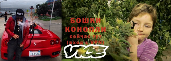 экстази Галич
