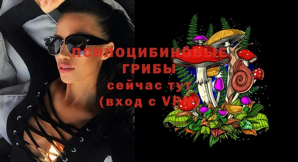 ALPHA PVP Бородино