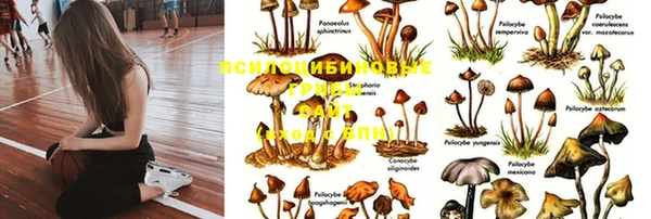 прущий лед Бронницы