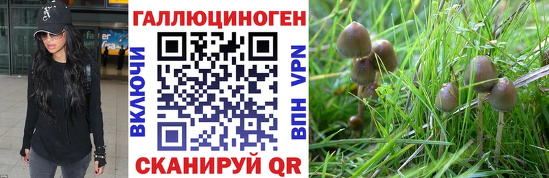 Псилоцибиновые грибы Psilocybe  кракен зеркало  Минеральные Воды 