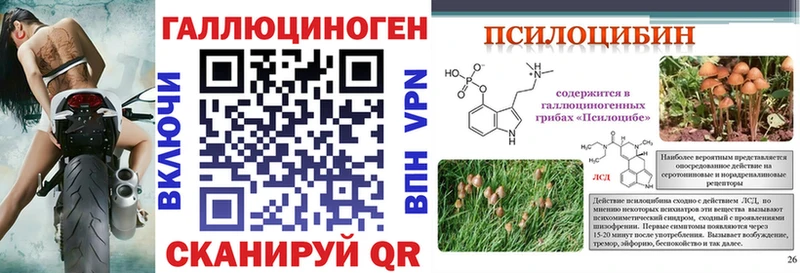 Галлюциногенные грибы Magic Shrooms Минеральные Воды